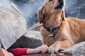 华体会hth-塞浦路斯遭西班牙重创，小组出局悲剧的简单介绍