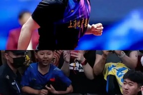 华体会app-比利时乒乓球队翻盘日本乒乓球队，樊振东统治全场的简单介绍