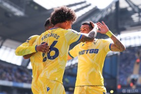 华体会-关于水晶宫主教练临危受命，球队迎来改变的信息