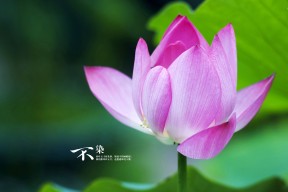 华体会hth-浓眉定律再现！浙江队加时鏖战掀翻骑士彰显大心脏