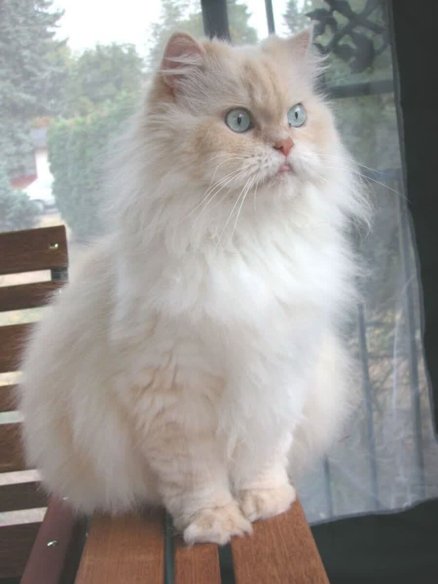 华体会下载-篮球的全球交响,鹈鹕力克76人,塔图姆在美加墨世界杯奏响统治乐章 第1张 华体会下载-篮球的全球交响,鹈鹕力克76人,塔图姆在美加墨世界杯奏响统治乐章 第1张